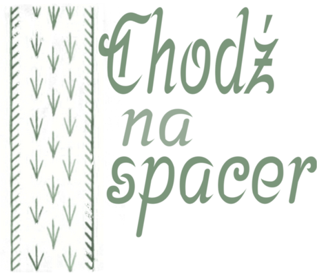 Nadruk Chodź na spacer - Przód